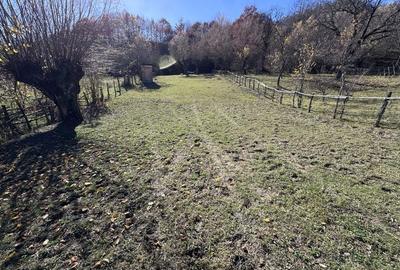 Spațiu comercial, în Uleni - 8