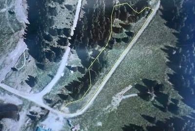 Oferta !!! Teren Padina - Pestera - 1