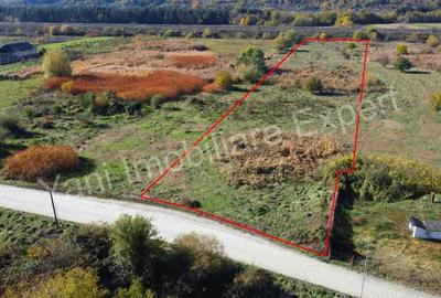 Teren de vanzare in comuna Baicule?ti, jude? Arge?, in apropiere de fabrica Elemaster. - 7