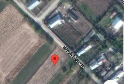 Spațiu comercial, în Plopșoru - 4