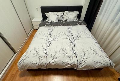 Apartament 3 camere mobilat  aleea Baiut - 10