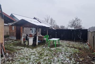 Casă individuală cu 3 camere cu Teren 2850 Mp în Alunișu - 14