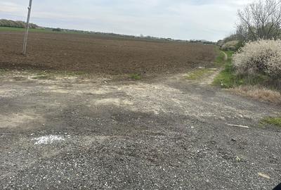 Spațiu comercial, în Șag - 2