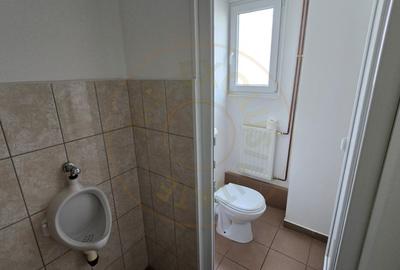 Birou, de 140 mp, în Careiului - 9