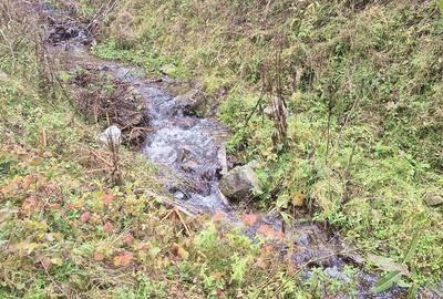 Casa de vanzare in Bistra -1700 mp teren - 8