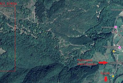 Teren agricol extravilan de 50000 mp, în Rucăr - 3