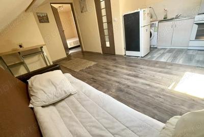 Pet Friendly Elisabetin Balcescu Maria Sinaia Medicina 2 Politehnica UVT - 5