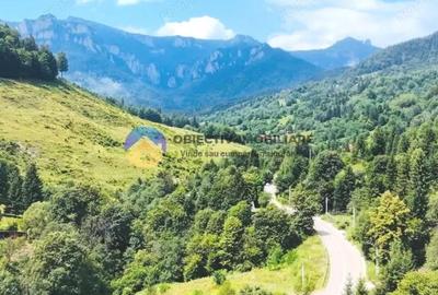 Teren de 17864 mp, în Izvoru - 2