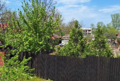 Teren Construcții intravilan de 2440 mp, în Cernele - 4