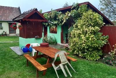 Casa de vanzare in sat Capalnas, comuna Birchis - 4