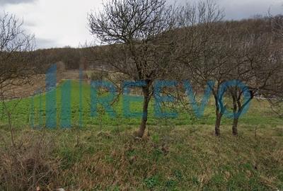 Vanzare Teren - Comuna Beresti-Tazlau, sat Bosoteni - 2