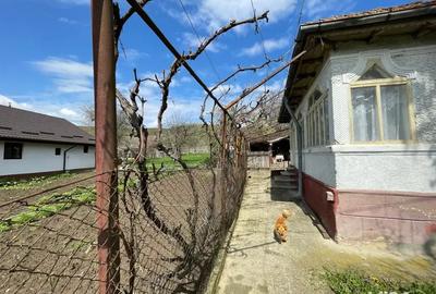 Casa + teren 1312 mp de vanzare in Tisau, Buzau - 6