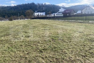 Teren intravilan de vanzare, 12.500 mp, zona Vatra Dornei, P - 9