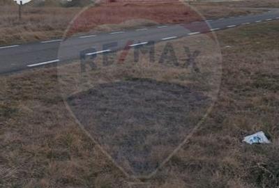 Teren langa Scoala Gimnazial Fantanele 600 mp cu acces la utilitati - 5