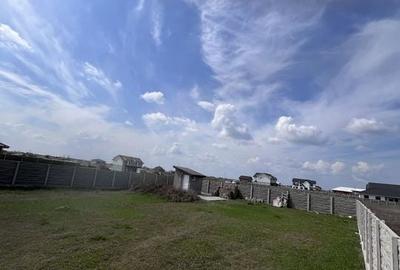 COMISION 0 | Teren intravilan | 745 mp | Mosnita Veche - 4