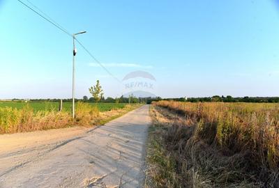 Teren de vanzare , 3 loturi*500mp, utilitati, Cozieni,  Ganeasa, - 2