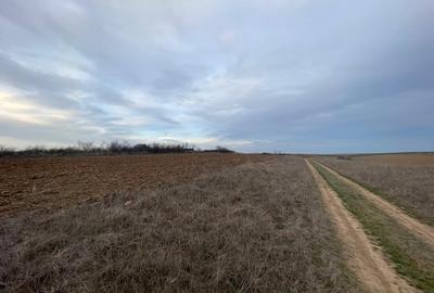 Teren intravilan 2000mp parcelat Malu Mare - 3