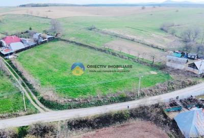 Teren Construcții intravilan de 2879 mp, în Dobreni - 5