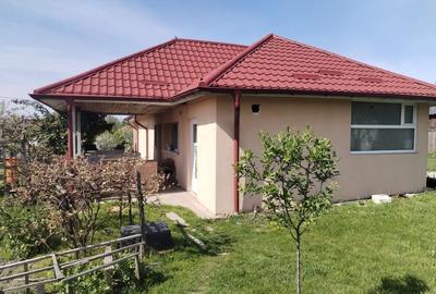 Casă cu 2 camere în Bradu