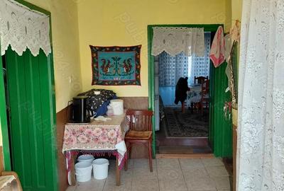 Casă cu Teren 6580 Mp în Zece Hotare - 4