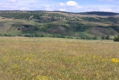 Vand teren intre Popesti si Corusu(jud. Cluj),in apropierea padurii - 6