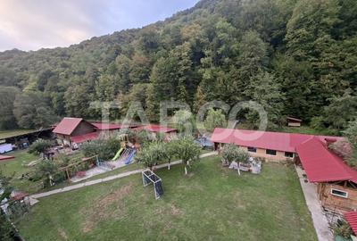 Spatiu de vanzare in Valea Macesului judel Valcea iesire la Lotru - 40