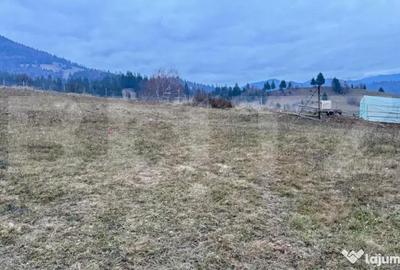 Teren de 2500 mp, în Colibița - 4