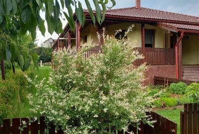 Casă individuală cu 3 camere cu Canalizare în Dezmir - 1