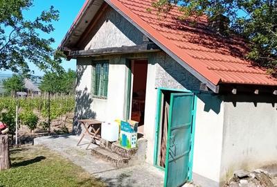 Casă în Orașu Nou - 4