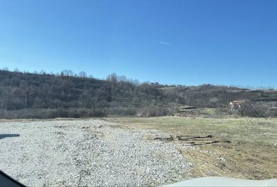 Spațiu comercial, în Băile Felix