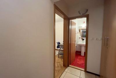 Apartament spațios de închiriat si garaj - Calea Aradului Apartament spațios de închiriat si garaj - Calea Aradului - 9