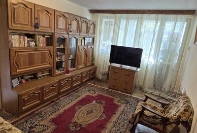 Apartament cu 2 camere semidecomandat în Sârbi - 9