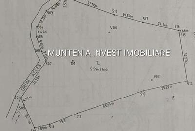 Spațiu comercial, în Brădetu - 8