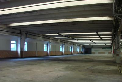 Hala 4850 mp, 2000000 euro - 5