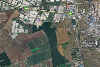 Spațiu comercial, în Domnești - 4