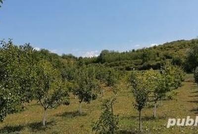 Teren de 2070 mp, în Manasia - 2