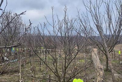 Casă cu 2 camere cu Teren 4000 Mp în Tăut - 8