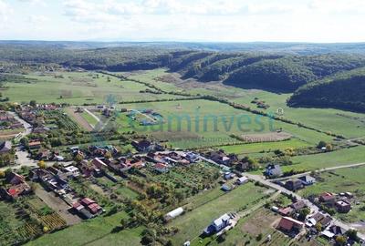 Casă individuală cu 2 camere cu Canalizare în Betfia - 16