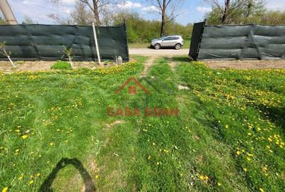 Teren extravilan in Baicoi 10.000mp plantatie mure --80.000e - 10
