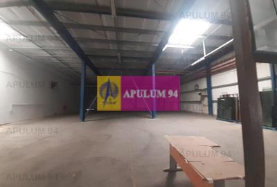 Spațiu industrial, de 4,850 mp, în 1 Decembrie - 32
