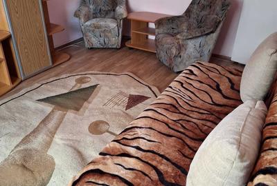 Apartament cu 2 camere decomandat în Mănăștur - 5