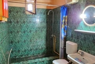 Casa  individuala de vanzare cu teren de 365 mp , cartier Marasti - 3