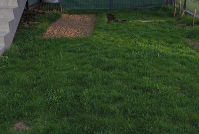 Garsonieră decomandată în Dobroești - 6