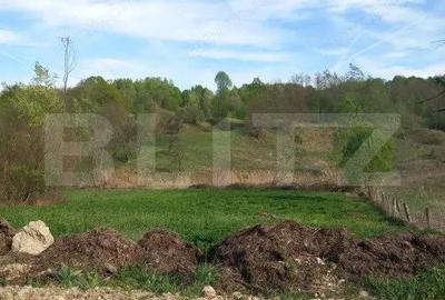 Teren de 4252 mp, în Vulcana-Pandele