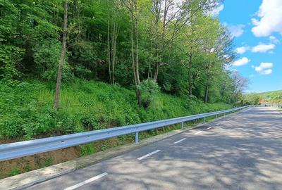 CASA SI LIVADA/ZONA DE DEALURI IMPADURITE/VALEA SCHEII/MANGA/VOINESTI/DAMBOVITA - 39