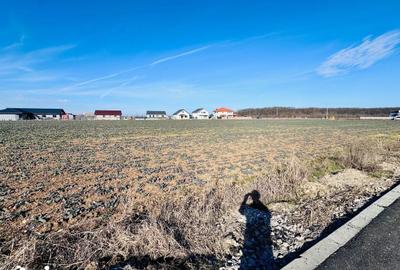 Teren de 1600 mp, în Snagov - 4