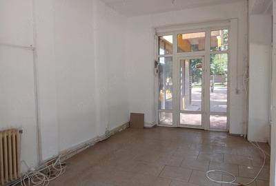 Spațiu comercial, de 28 mp, în Nicolina - 1