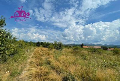 Teren de vanzare in Meziad. - 1