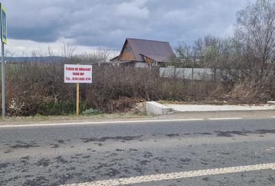 Spațiu comercial, în Alparea - 4