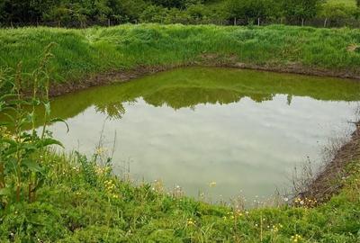 Casă cu 3 camere în Catanele - 3